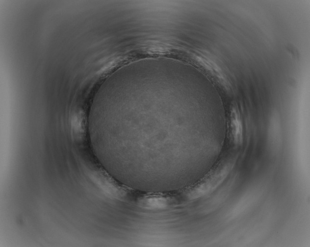 X0000112470228200908171205