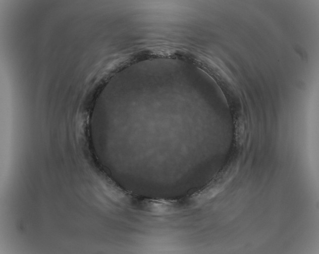 X0000112470229200908171205