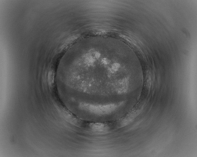 X0000112470230200908171205