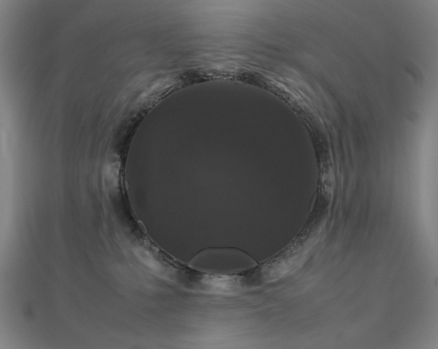 X0000112470231200908171205