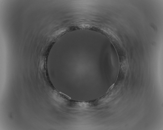 X0000112470233200908171205