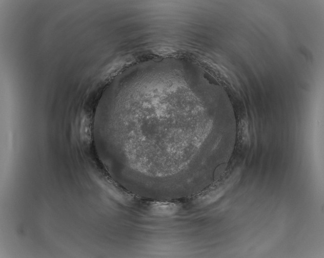 X0000112470234200908171205