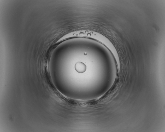 X0000112470235200908171205