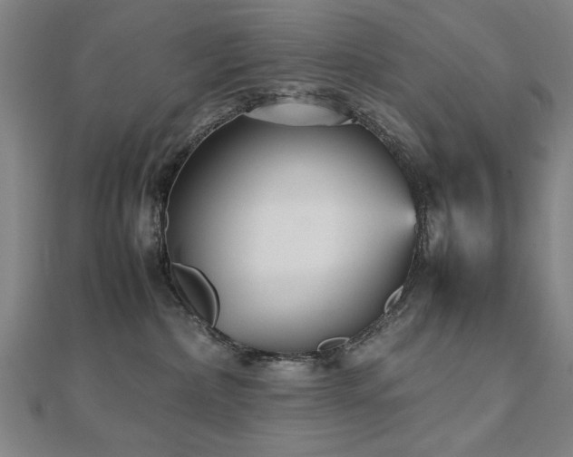 X0000112470236200908171205