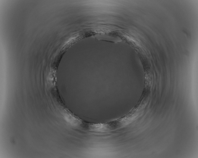 X0000112470237200908171205