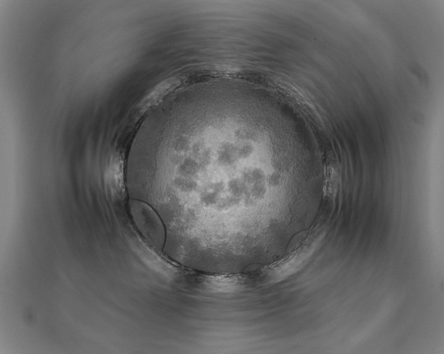 X0000112470238200908171205