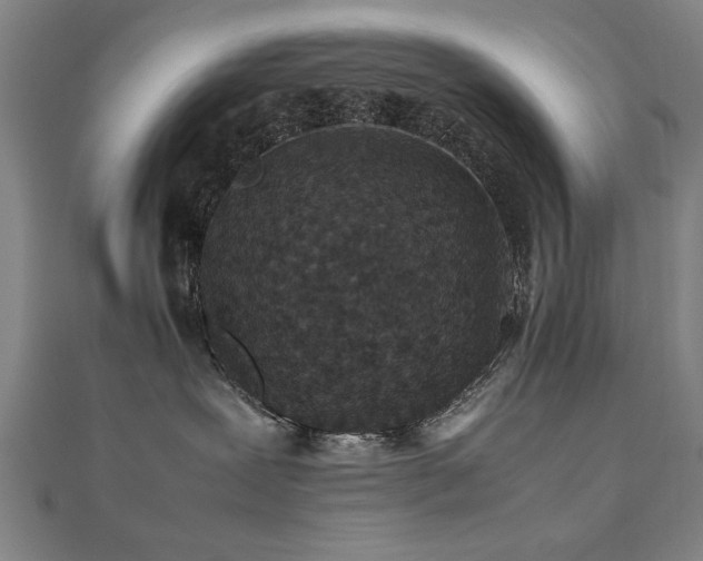 X0000112470239200908171205