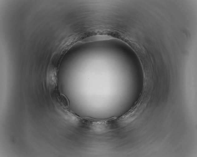 X0000112470240200908171205