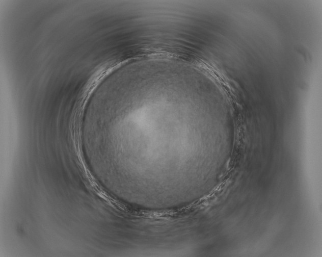 X0000112470241200908171204