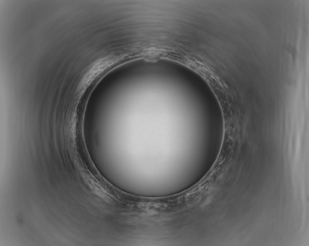 X0000112470242200908171204