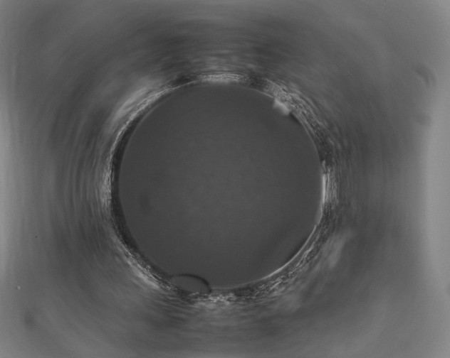 X0000112470243200908171204