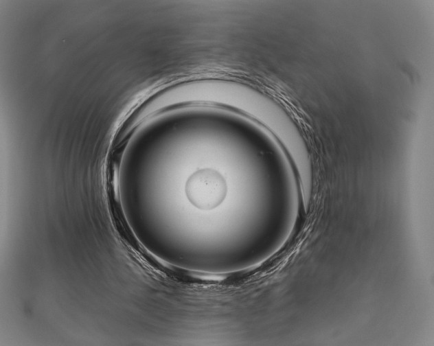 X0000112470244200908171204