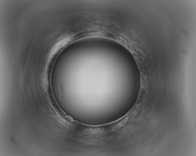 X0000112470245200908171204