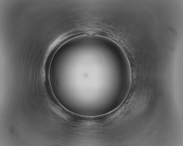 X0000112470246200908171204