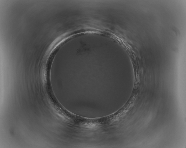 X0000112470247200908171204