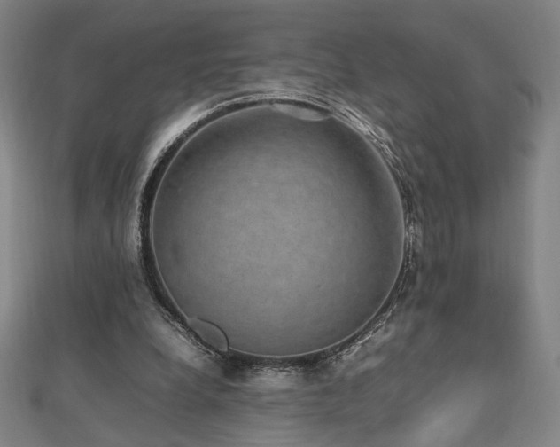 X0000112470248200908171204