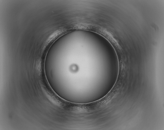 X0000112470250200908171204