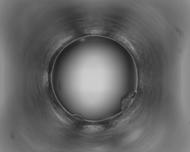 X0000112470251200908171204