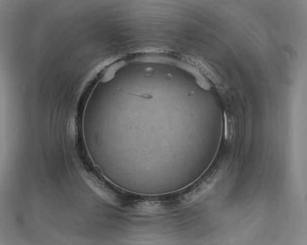 X0000112470252200908171204