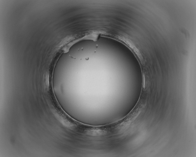 X0000112470253200908171204