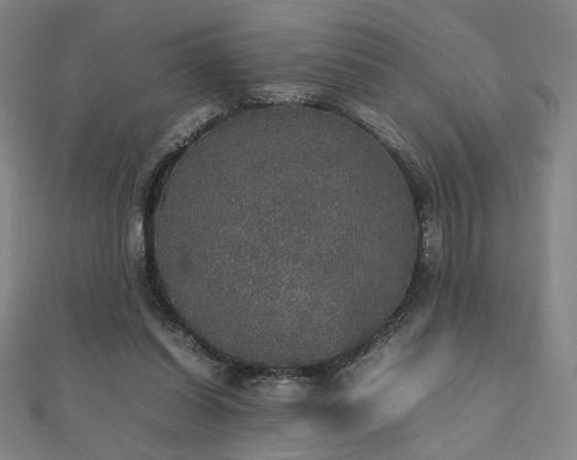 X0000112470254200908171204