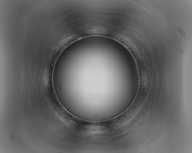 X0000112470255200908171204