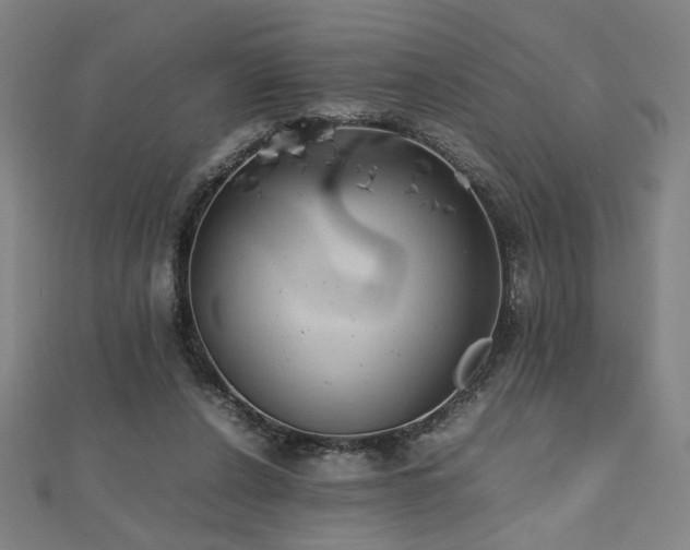 X0000112470256200908171204