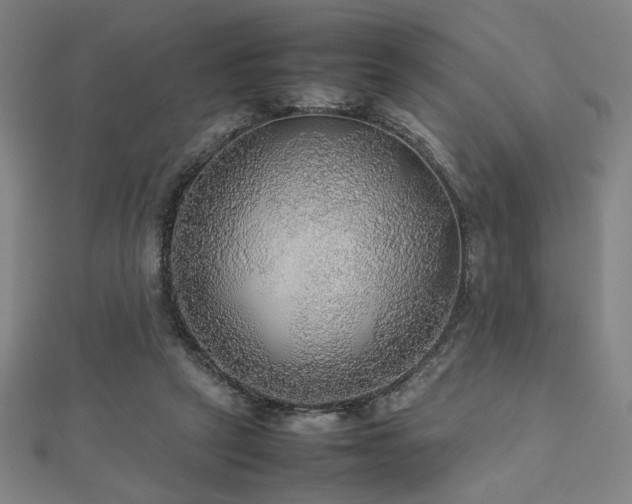 X0000112470257200908171204