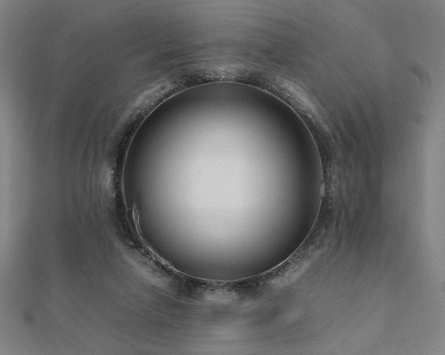 X0000112470258200908171204