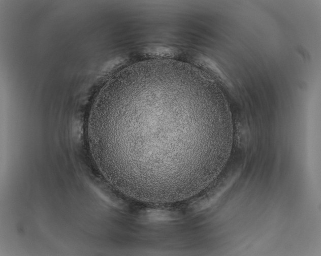 X0000112470259200908171204