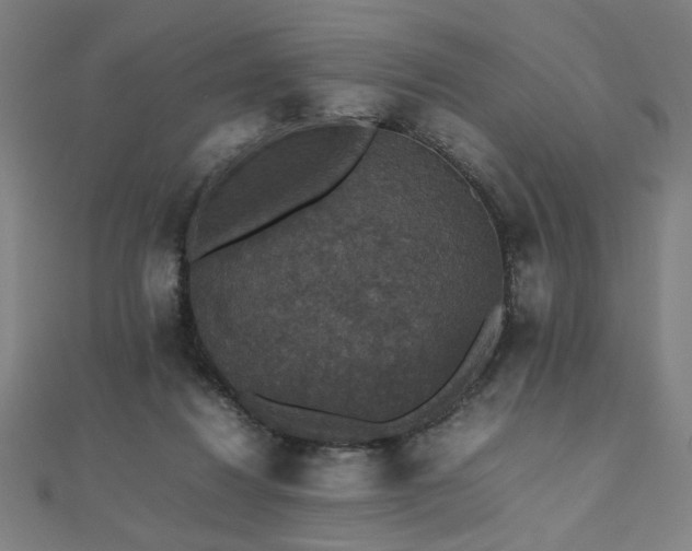 X0000112470260200908171204