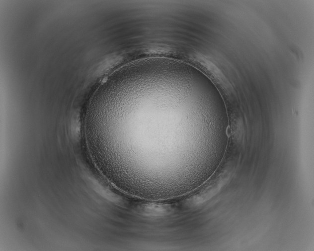 X0000112470261200908171204