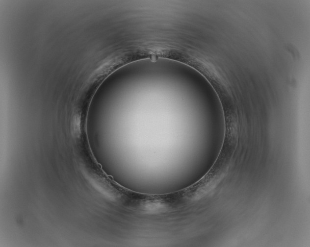 X0000112470262200908171204