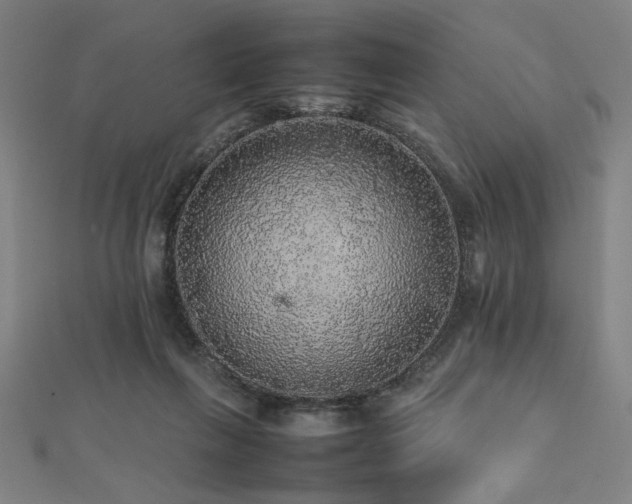 X0000112470263200908171204