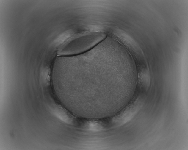 X0000112470264200908171205