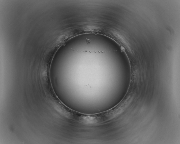 X0000112470265200908171205