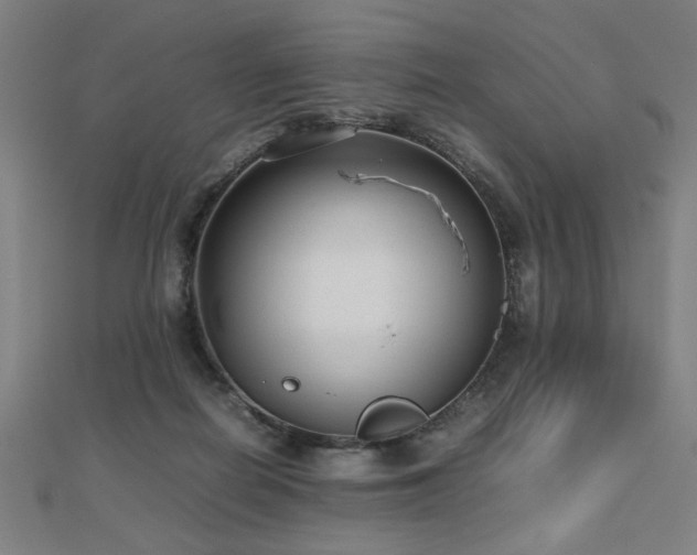 X0000112470266200908171205