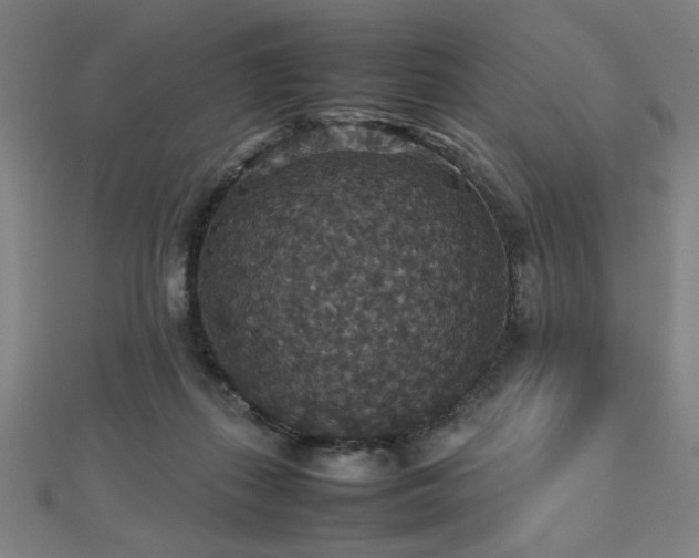 X0000112470267200908171205