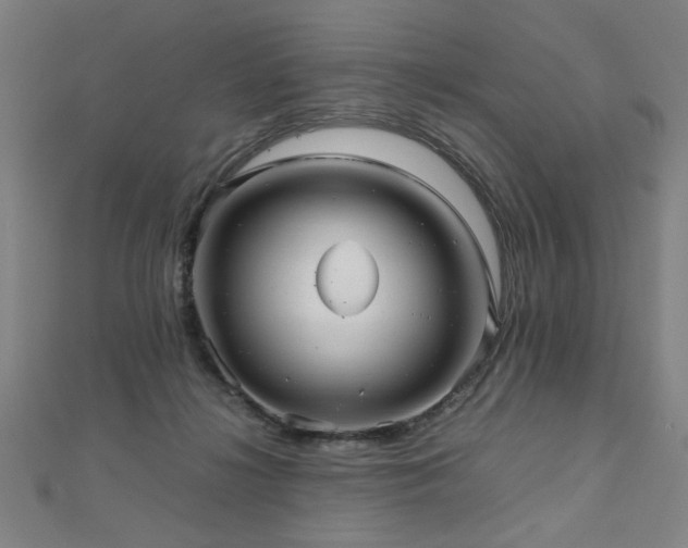 X0000112470268200908171205