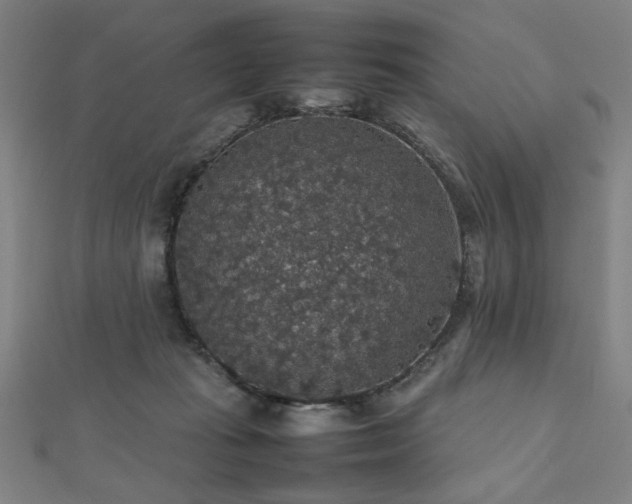 X0000112470269200908171205