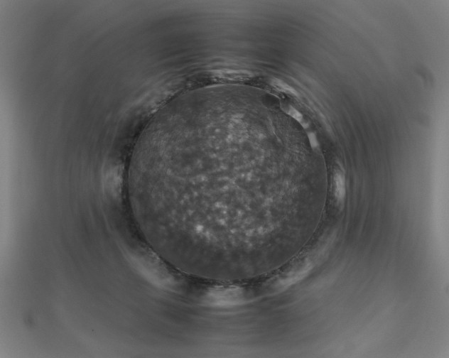 X0000112470271200908171205