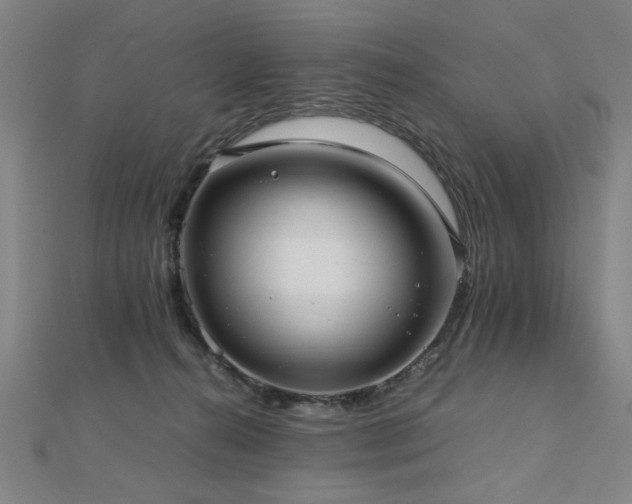 X0000112470272200908171205