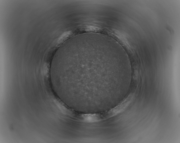 X0000112470273200908171205