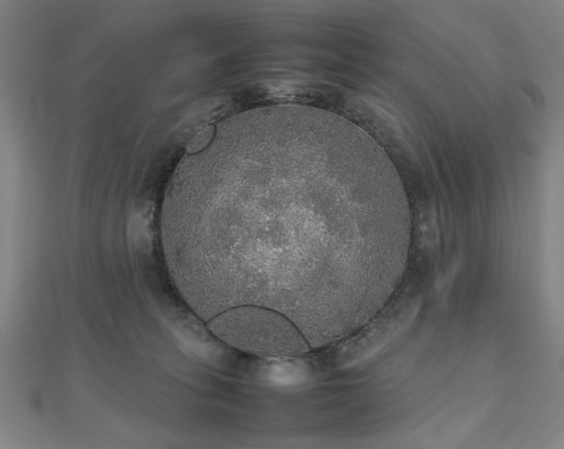 X0000112470275200908171205