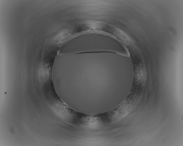 X0000112470276200908171205