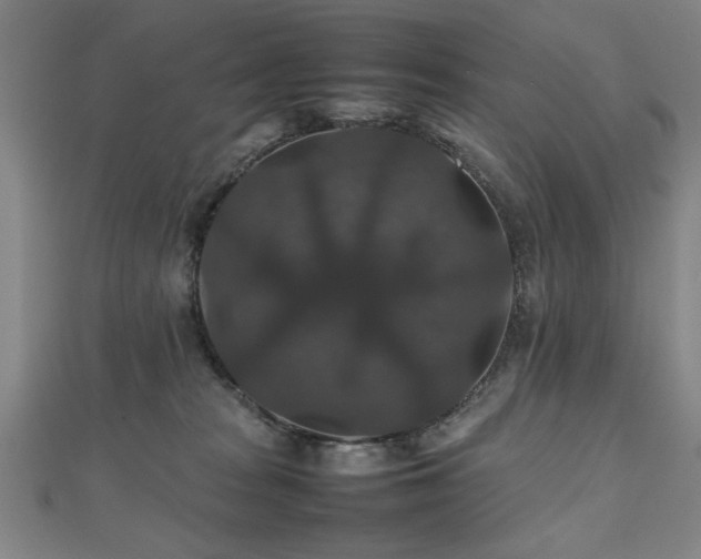 X0000112470277200908171205