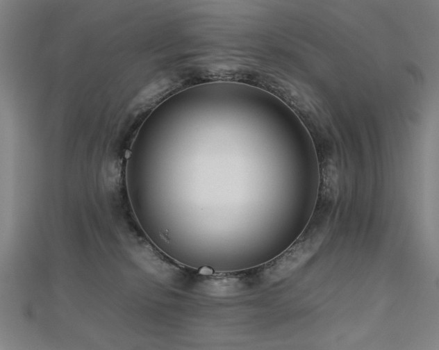 X0000112470278200908171205