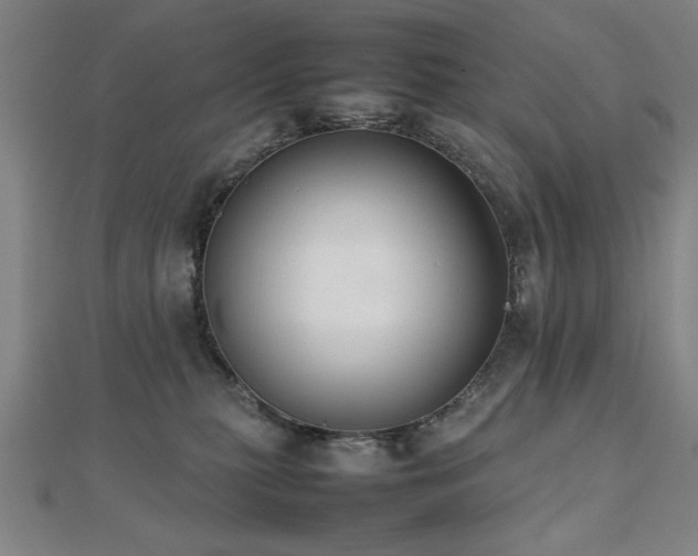 X0000112470279200908171205