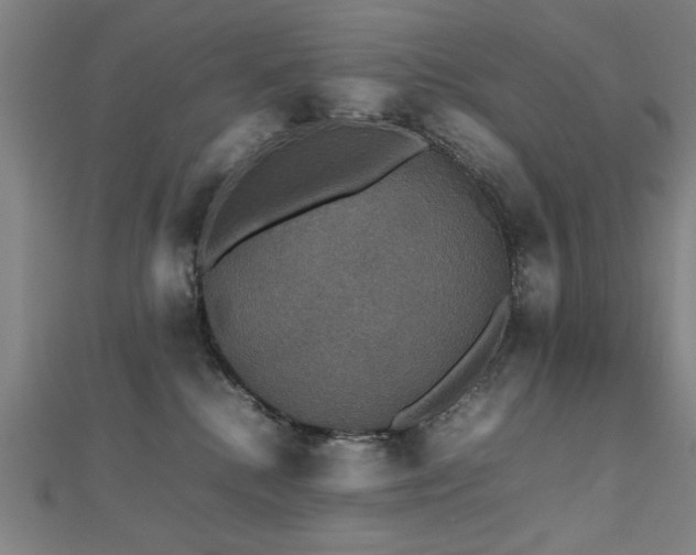 X0000112470280200908171205