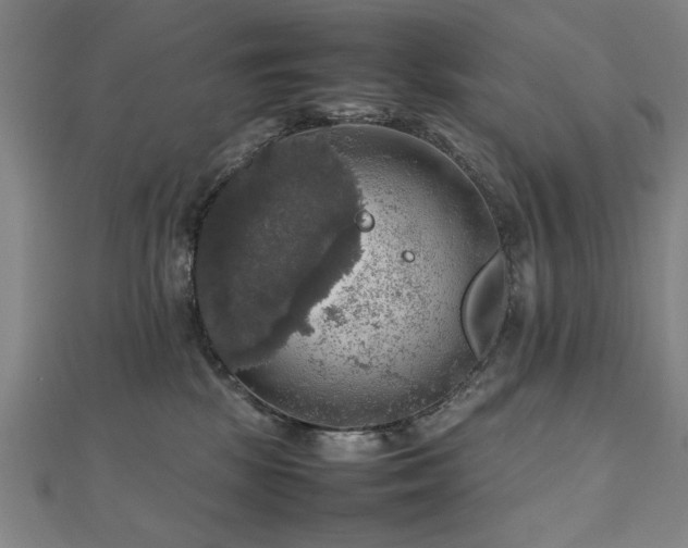 X0000112470281200908171205